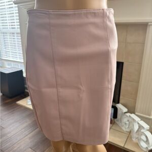Express Light Pink Pencil Skirt